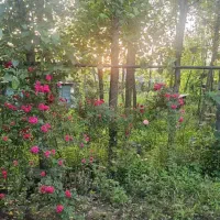 ویلایی عالی وقابل تهاتر|فروش خانه و ویلا|رشت, شهرک احمد خمینی|دیوار