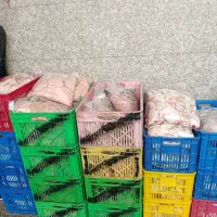 قطعه بندی مرغ به صورت عمده و خورده