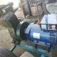 مارگو کارلسکار