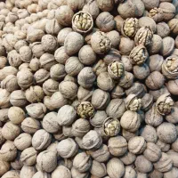 فندق و پسته زعفران تخفیف ولادت بی بی دوعالم مهرگان|خوردنی و آشامیدنی|قزوین, |دیوار