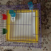 قفس برای نگهداری خرگوش گربه جوجه بلدرچین و...