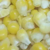 ذرت باقالی نخودسبز لوبیا کشاورزی...