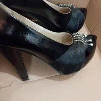 کفش مجلسی|کیف، کفش، کمربند|بوشهر, |دیوار