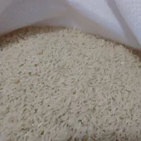 برنج هاشمی|خوردنی و آشامیدنی|تهران, سهروردی|دیوار