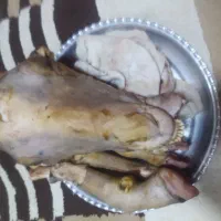 کله پاچه و سیرابی کامل گوسفند|خوردنی و آشامیدنی|فردیس, شهرک ۱۱۰|دیوار