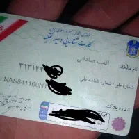 یک کارت ماشین ب اسم الفت صادقی پیدا کردم