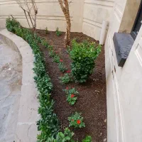 خدمات باغبانی سرویس در  شهر ری