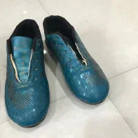 پوتین و کفش فوتبالی چمن