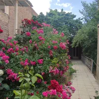 اجاره روزانه/هفتگی ویلا ۳۰۰ متری