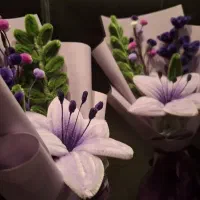 ماندگاری زیبایی برای لحظات شما