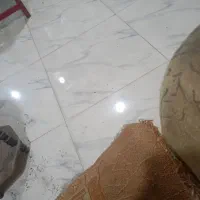 اجاره اپارتمان