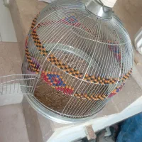 قفس طرقه.سهره. قناری