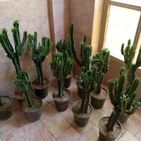 گل و گیاه طبیعی آبنما. آبیاری قطره ای