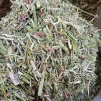 خار دانه دار نرم|لوازم جانبی حیوانات|تربت جام, جامرود|دیوار