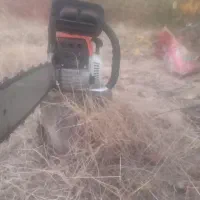 شخم باقات  حرص و خرید چوب درخت. سم پاشی|خدمات باغبانی و درختکاری|محمدیه-قزوین, |دیوار