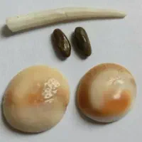 مهره اصل کلکسیونی