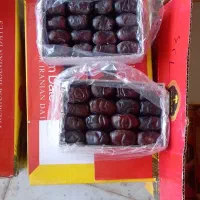 رطب خرما صادراتی لوکس|خوردنی و آشامیدنی|مشهد, شهرک مهر آباد|دیوار