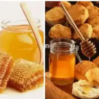 فروش انواع محصولات اورگانیک