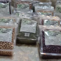 فروش حبوبات. مشاغل خانگی|خوردنی و آشامیدنی|مشهد, ولیعصر (شهرک غرب)|دیوار
