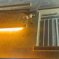 نصب حرفهای دوربین مداربسته ،نصاب|دوربین مداربسته|مشهد, تلگرد|دیوار