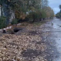 باغ بهشت جنگل2نبش کنتورکرج سهیلیه زعفرانیه کردان|فروش زمین و ملک کلنگی|کرج, عظیمیه|دیوار
