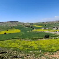 بلوار-دانش-کوی-المس-شهر