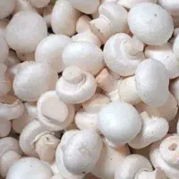 قارچ درجه یک