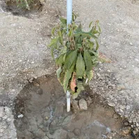 فروش زمین مسکونی