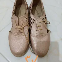 کفش ها در حد|کیف، کفش، کمربند|رباط‌کریم, رباط‌کریم|دیوار