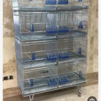 ققس لونه چوب روس.جادون