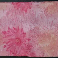 کلکسیونی از پارچه های مجلسی