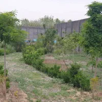 باغ نزدیک سه راهی شاندیز طرقبه