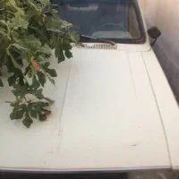 پیکان 73|خودرو سواری و وانت|شاهرود, |دیوار