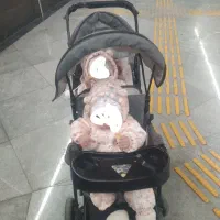 کالسکه دوقلو