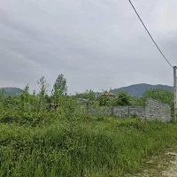 زمین مسکونی ۲۸۰ متری ویوو ابدی چلک کتشال