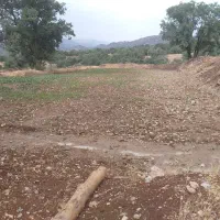 اجاره دوهکتار زمین کشاورزی آبی|اجارهٔ دفتر صنعتی، کشاورزی، تجاری|پاتاوه, |دیوار