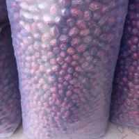 عناب امسالی رسید کیلو ۲۰۰|عمدهفروشی|بم, |دیوار