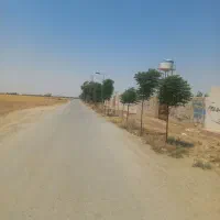 250مترزمین-3طرف-دیوار-سهیلیه-زعفرانیه-اطلسی