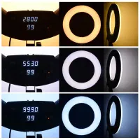 رینگ لایت نایس فوتو+پایه +میکروفون|دوربین عکاسی و فیلمبرداری|بم, |دیوار