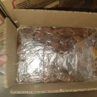 خرما شاهانی|حراج|فسا, |دیوار