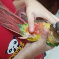 گرینچیک یلوساید|پرنده|ری, دولت‌آباد|دیوار