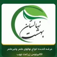 فروش نهال