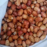 سنجد|خوردنی و آشامیدنی|نهاوند, |دیوار