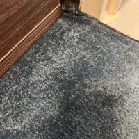 موکت ۹ متری پرز بلند