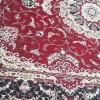 فرش۱۲متری|فرش|شاهرود, |دیوار