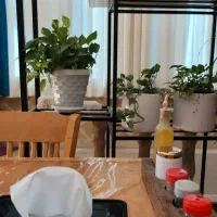 ب چند نفر تایپیست حرفه ای نیازمندیم