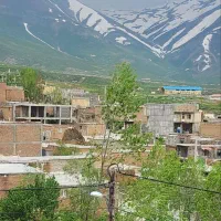 بنگاه املاک شریف موئیل ، مشگین شهر