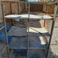 گنجه ی جفتی کبوتر