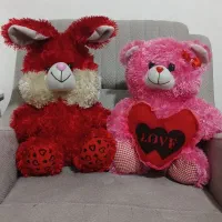 عروسک پولیشی زیبا