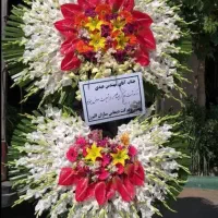 پخش تاج گل های تبریک تسلیت افتتاحیه|خدمات پذیرایی، مراسم|تهران, الهیه|دیوار